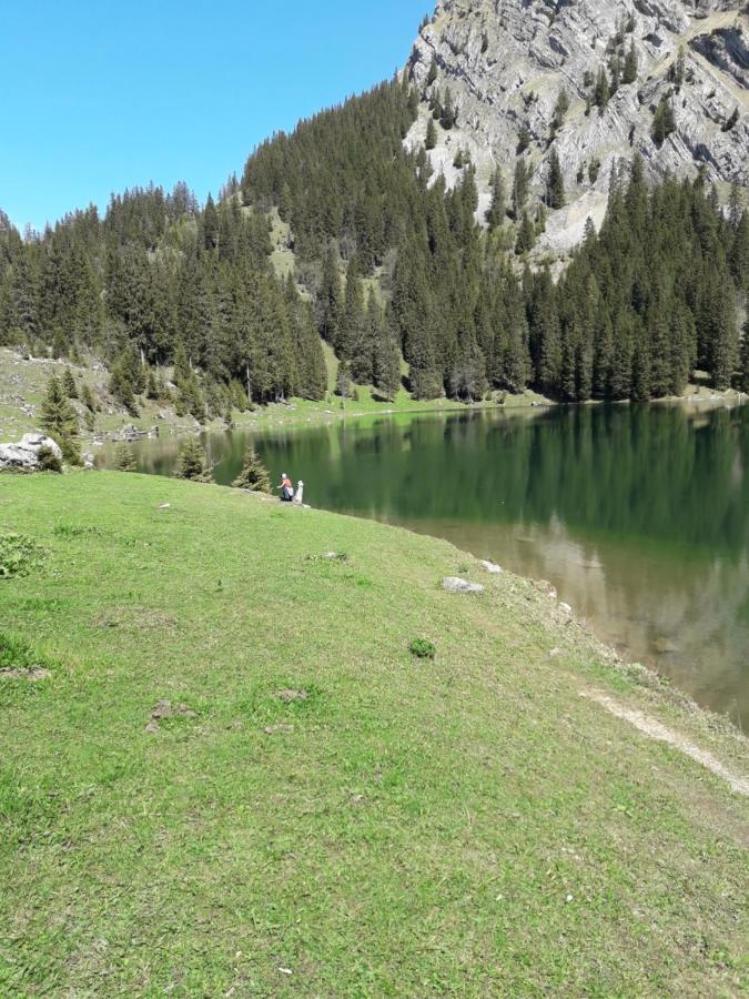 Ferienwohnung Gafner Brienz  Esterno foto